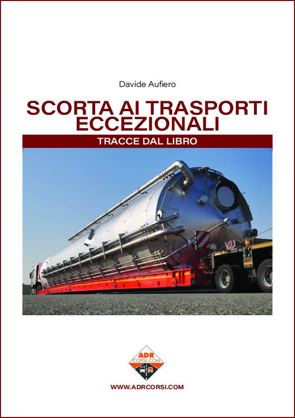 Manuale del conducente professionista