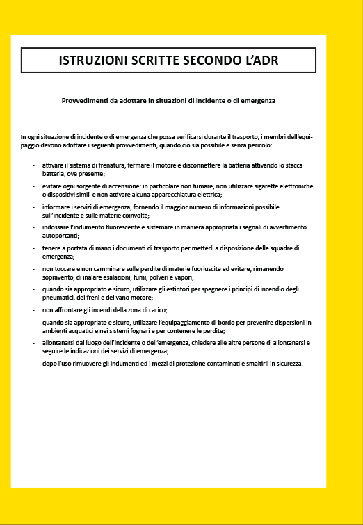 Manuale del conducente professionista