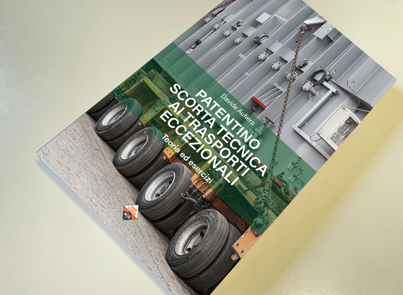 Manuale del conducente professionista